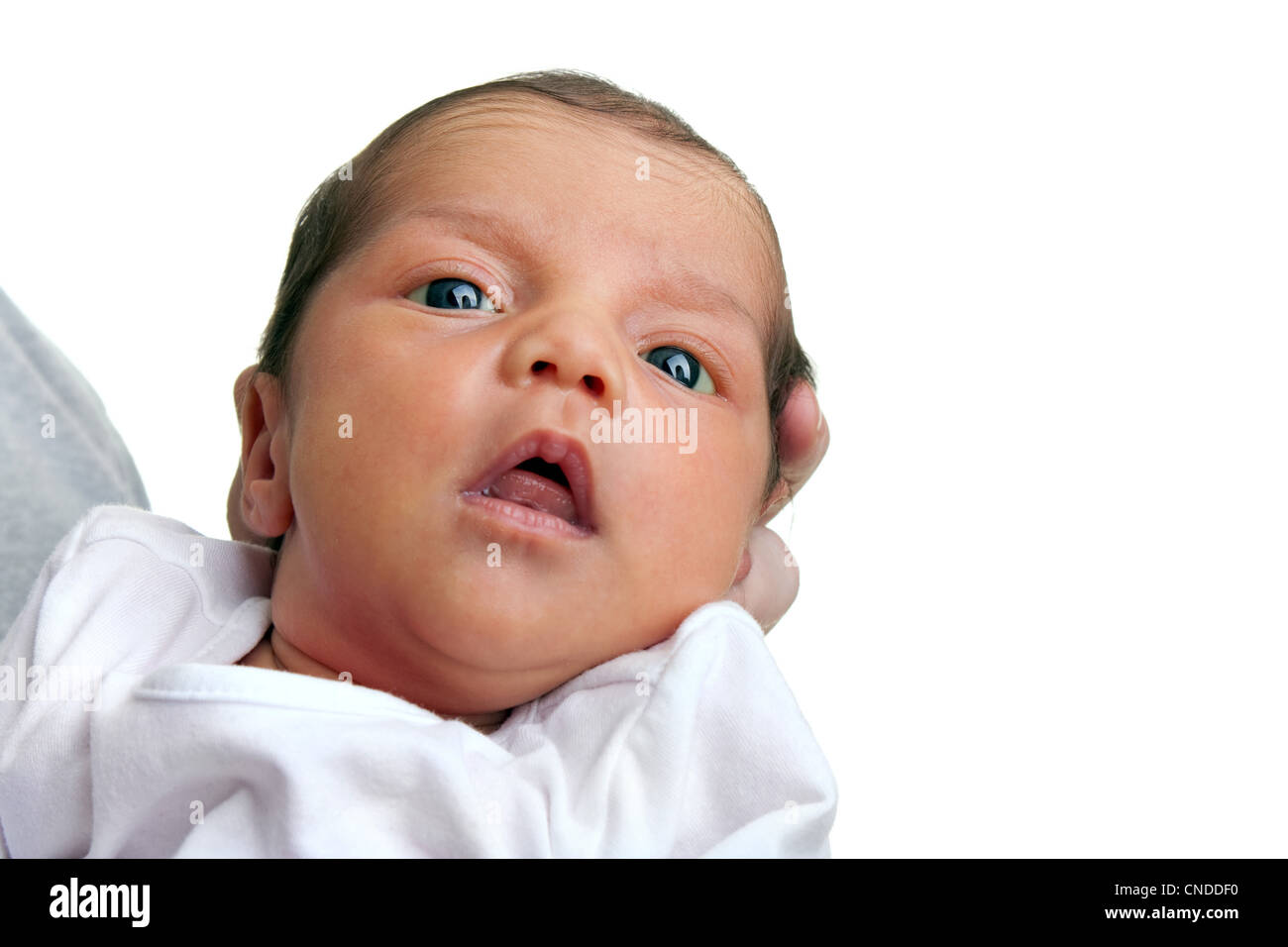 A cute newborn baby girl isolated over a white backdrop Stock Photo - Alamy