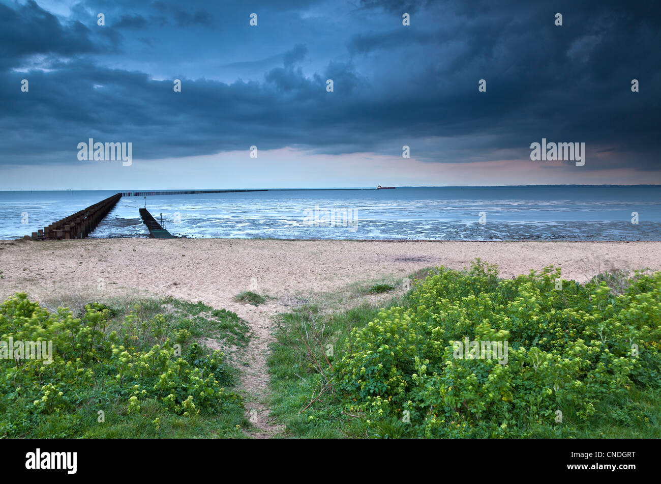 Low Tide at East beach, Shoeburyness Stock Photo Alamy