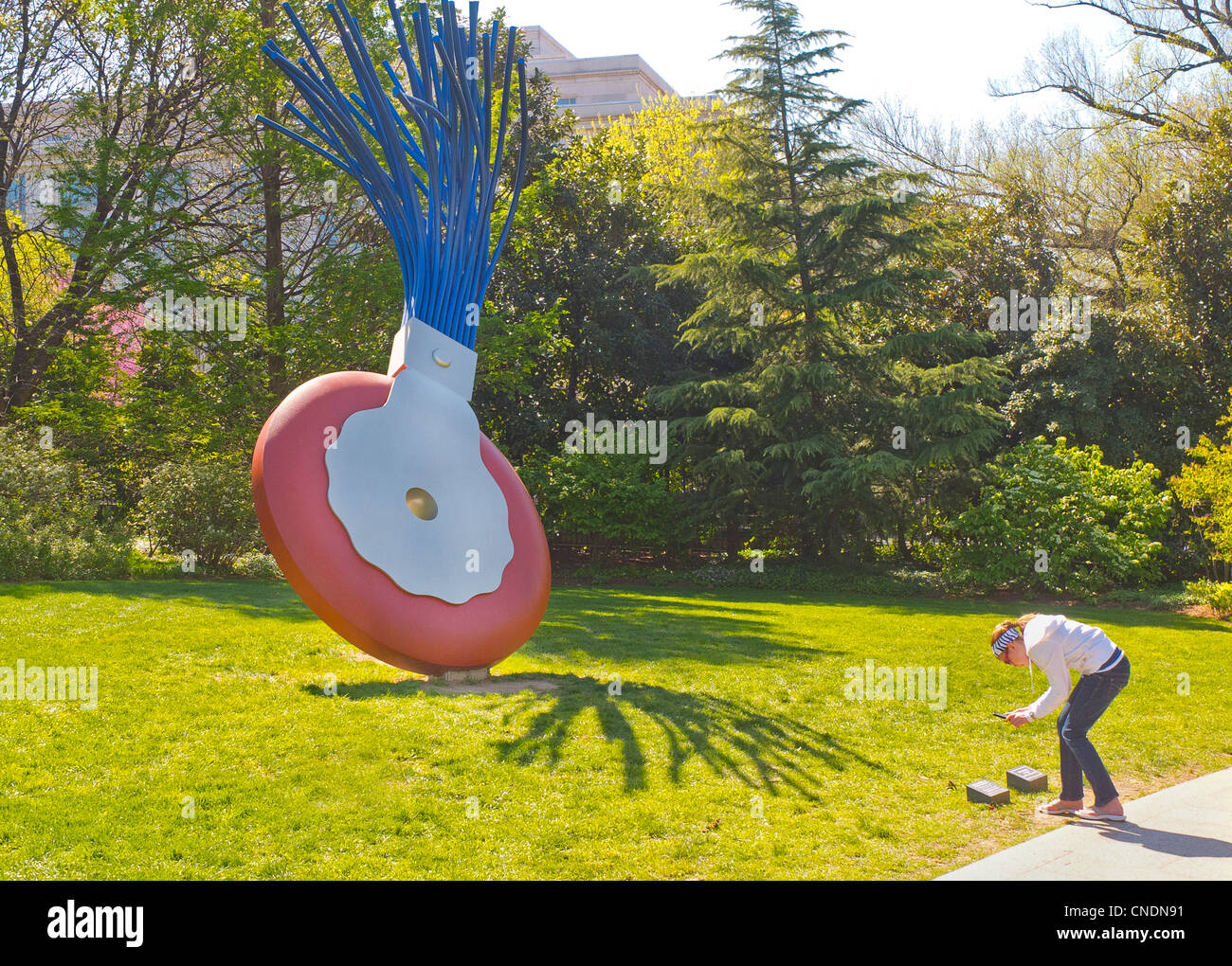 National Gallery of Art Sculpture Garden Washington DC Stock Photo Alamy