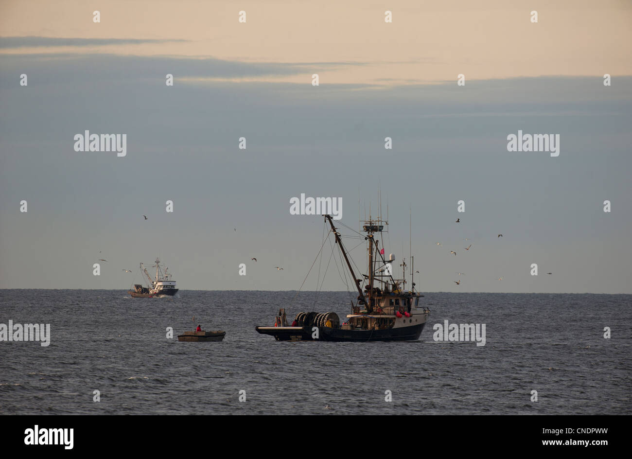 Premium Vector  Set of commercial fishing ships with full fish net under  water fishing boat with yellow mast working in ocean catching by seine tuna  herring sardine salmon industry vessels vector