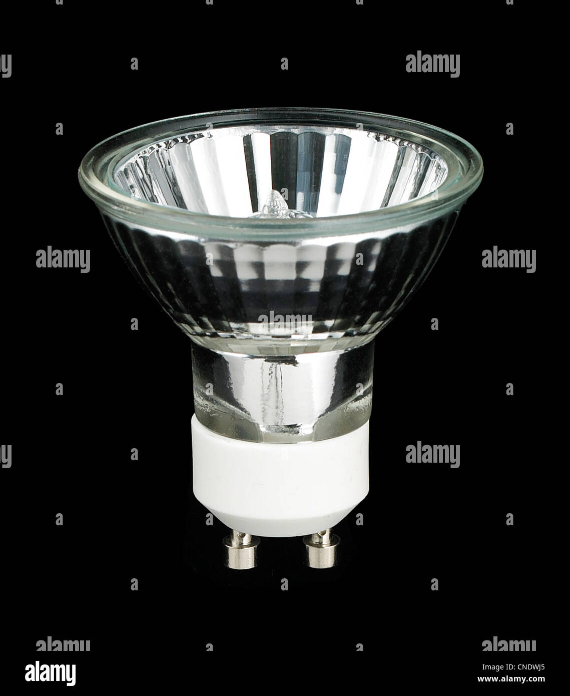 Halogen light bulb Stock Photo Alamy