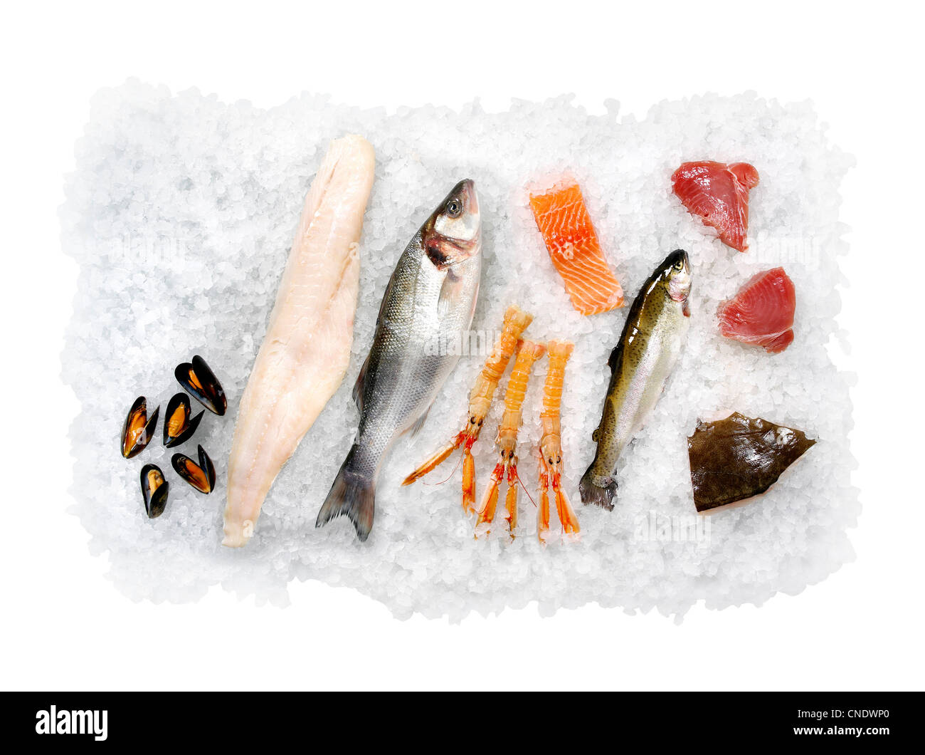 Selection of fresh Seafood Stock Photo Alamy