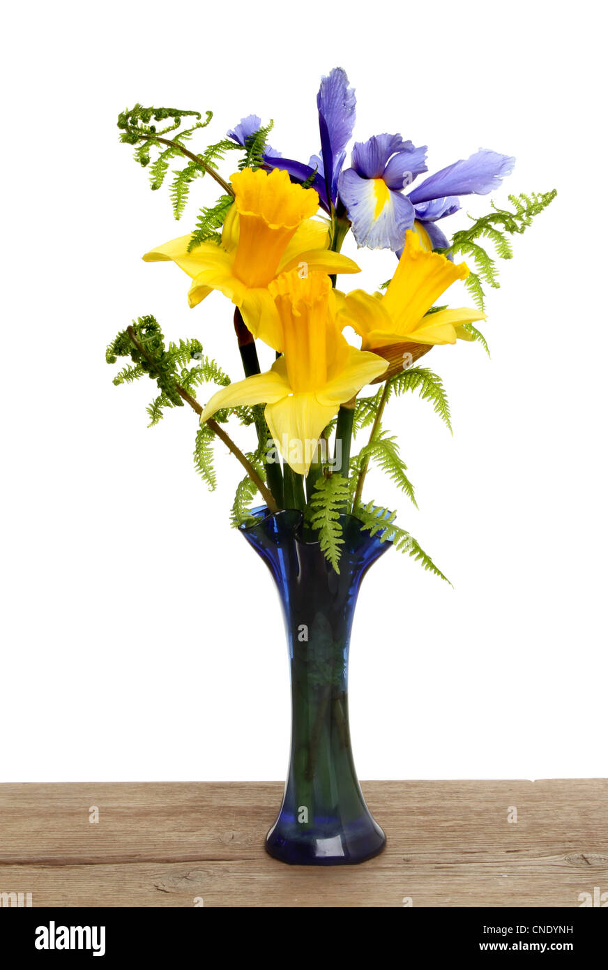 Arrangement of daffodils,fern fronds and a blue iris flower in a vase