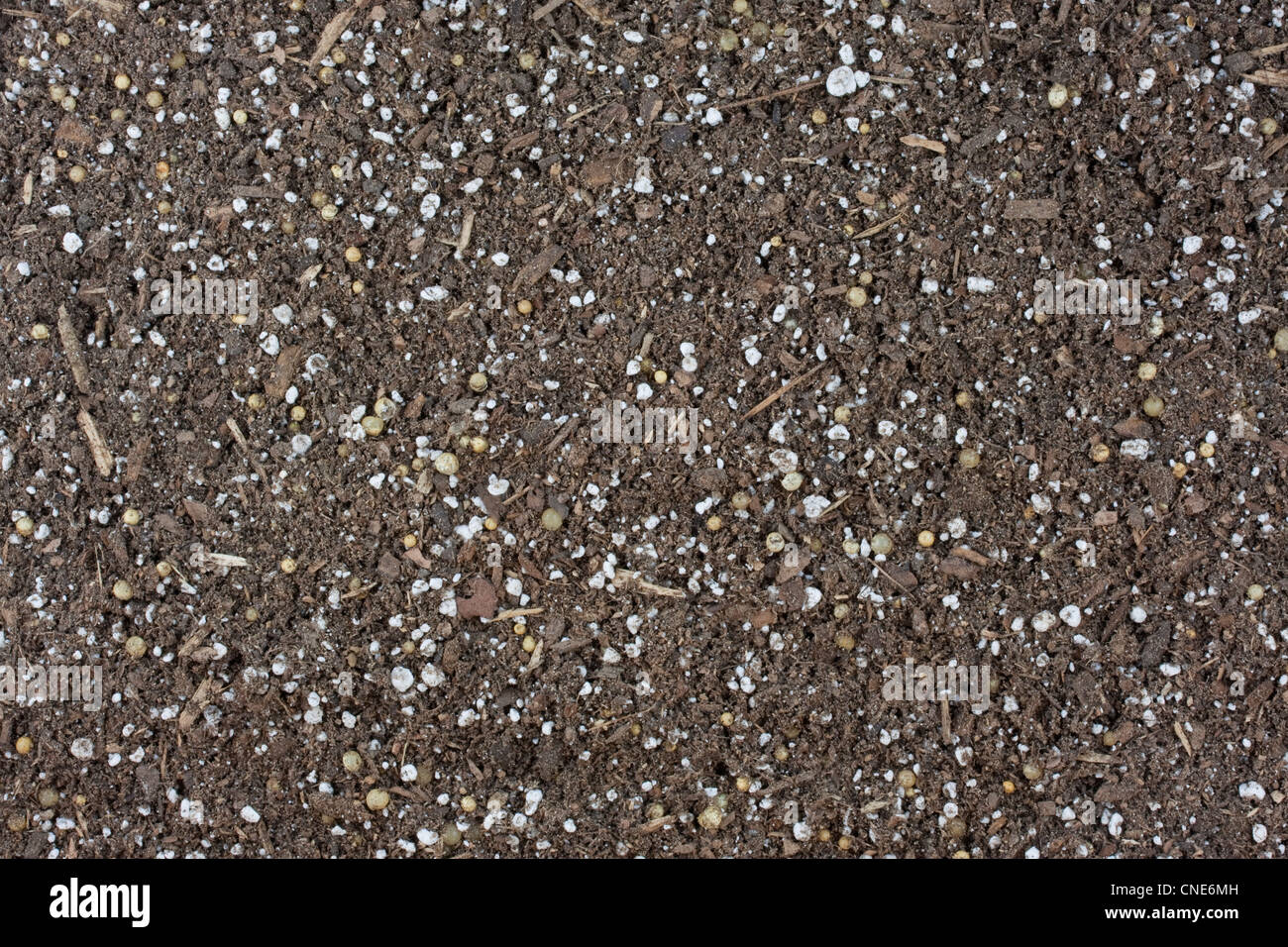 dry garden potting soil background with small wood chips Stock Photo