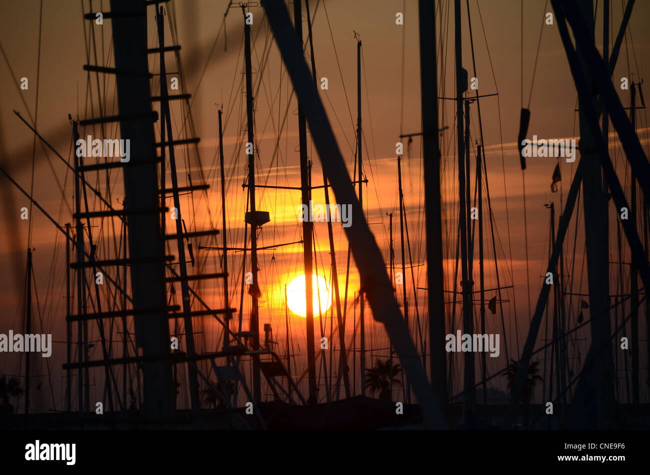 Marina sailing boats dawn masts yachts Stock Photo - Alamy