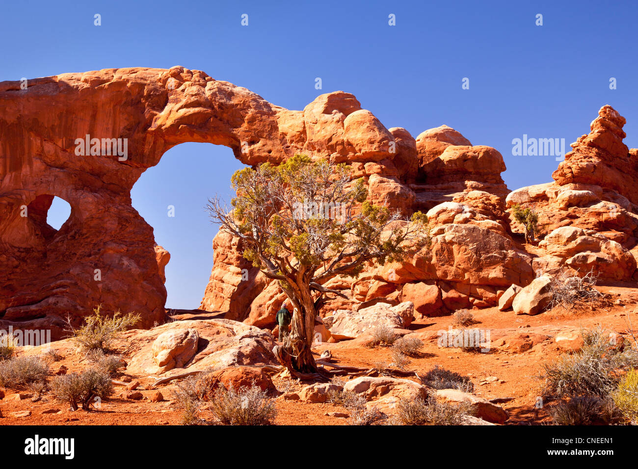 Turret Arch, Arches National Park, Utah USA Stock Photo