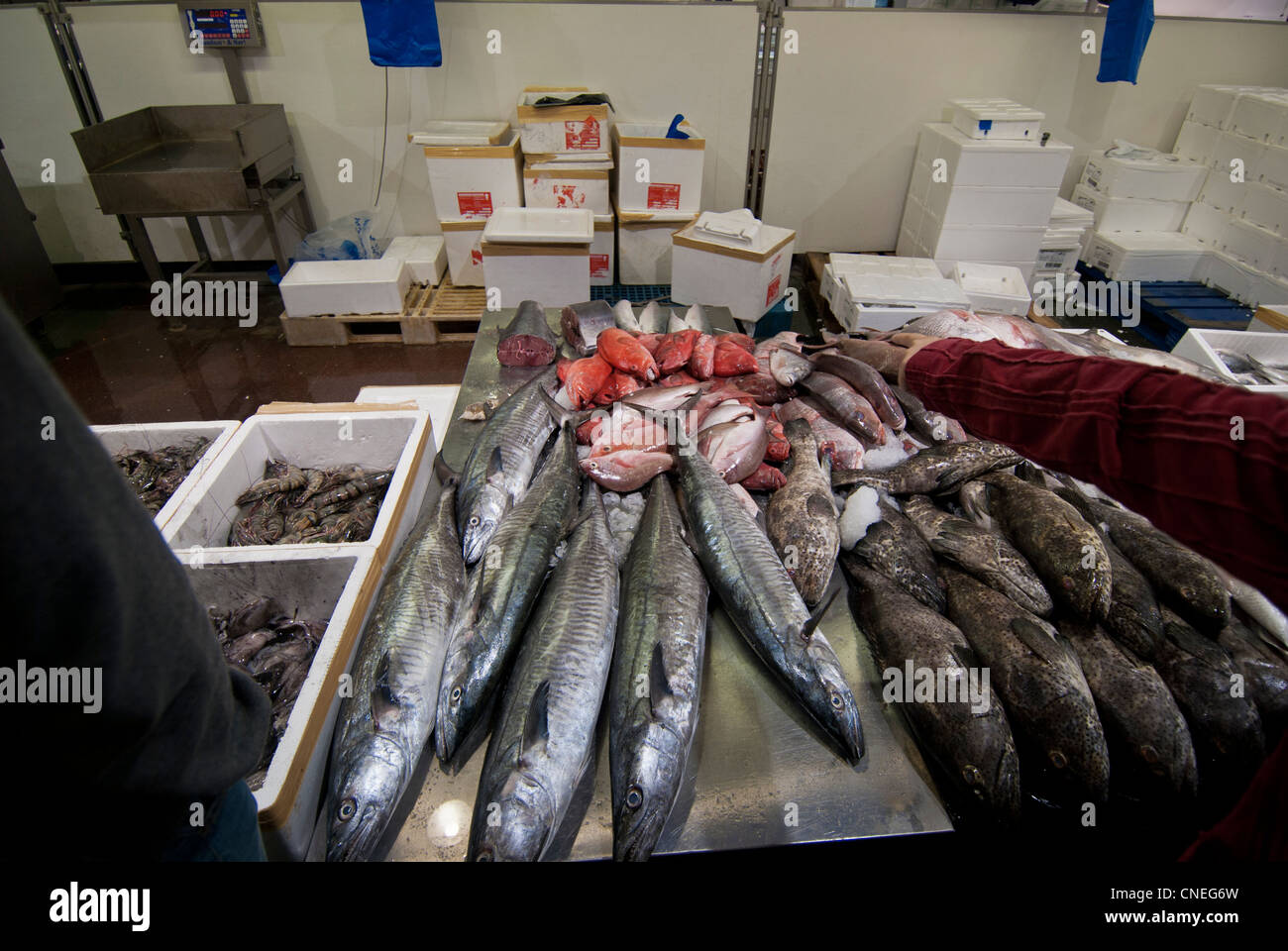 Fish at Billingsgate Market Stock Photo Alamy