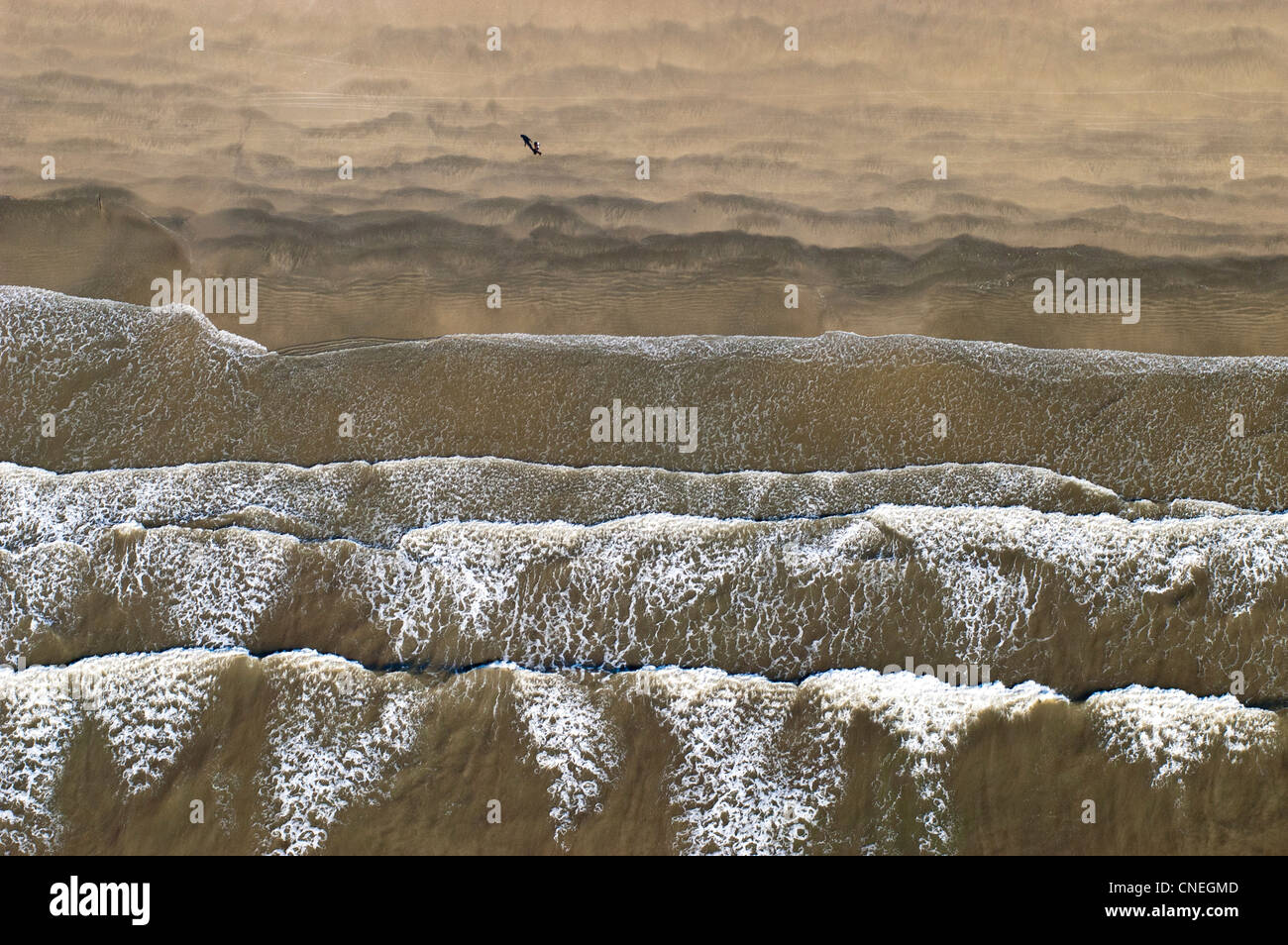 Person walking on a beach with breaking waves, aerial view, Pwani Region, Tanzania Stock Photo