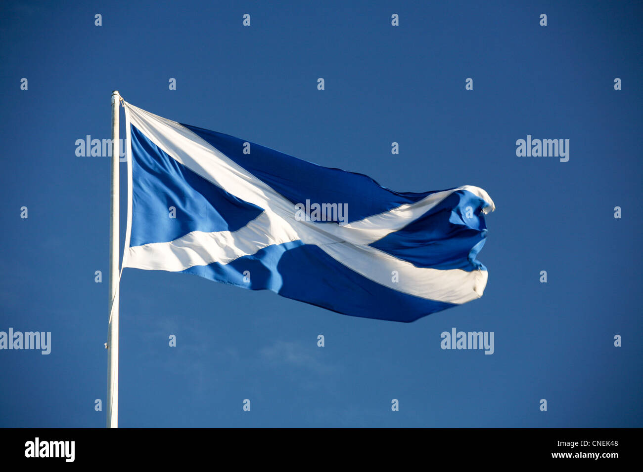 Scottish Flag the Saltire or St Andrews Cross Stock Photo