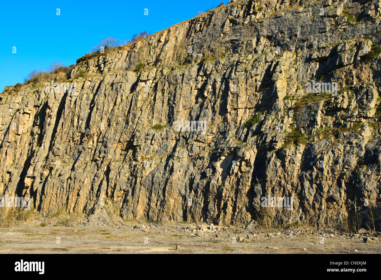 View of disused quarry at Warton crag, Warton, Lancashire, England Stock Photo