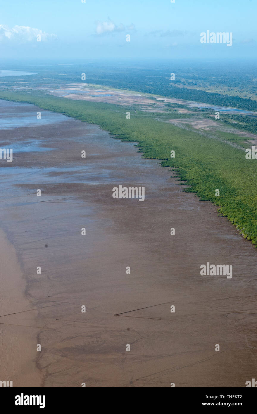 Mangrove forest and mud flats along the coast of Pwani Region, aerial view, Tanzania Stock Photo