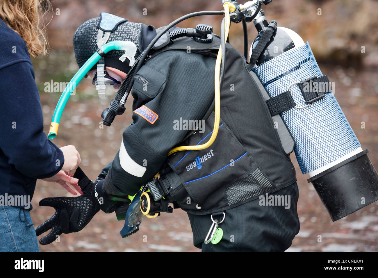 Underwatyer divers in scuba gear prepare to dive off the coast of f the