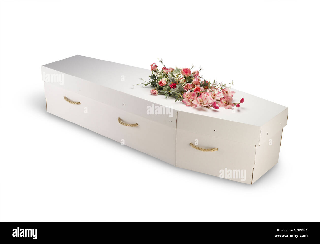 cardboard paper biodegradable coffin eco-coffin casket isolated on white with a clipping path Stock Photo