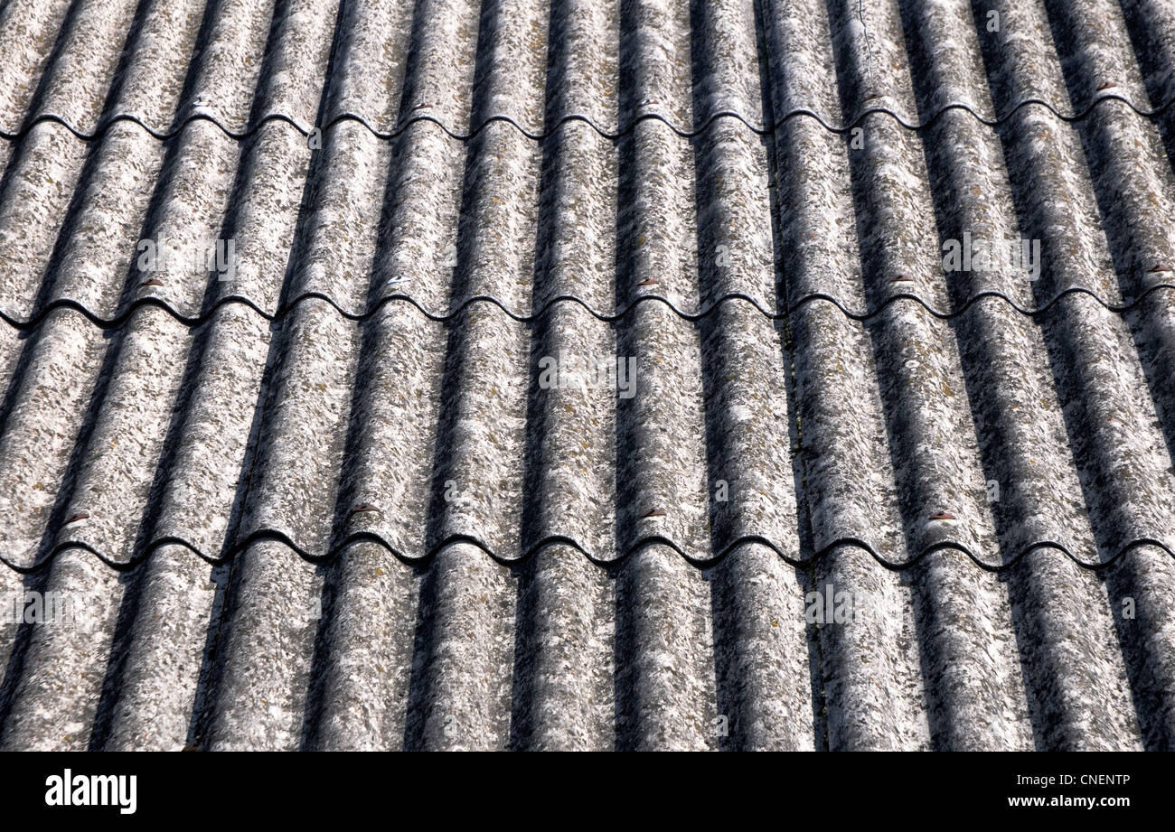 close up on corrugated asbestos roof on byre building in Poland Stock Photo