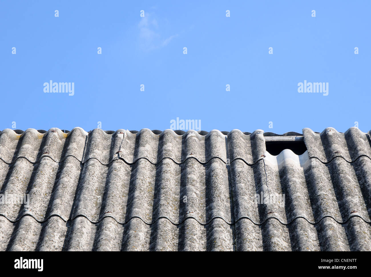 close up on corrugated asbestos roof on byre building in Poland Stock Photo