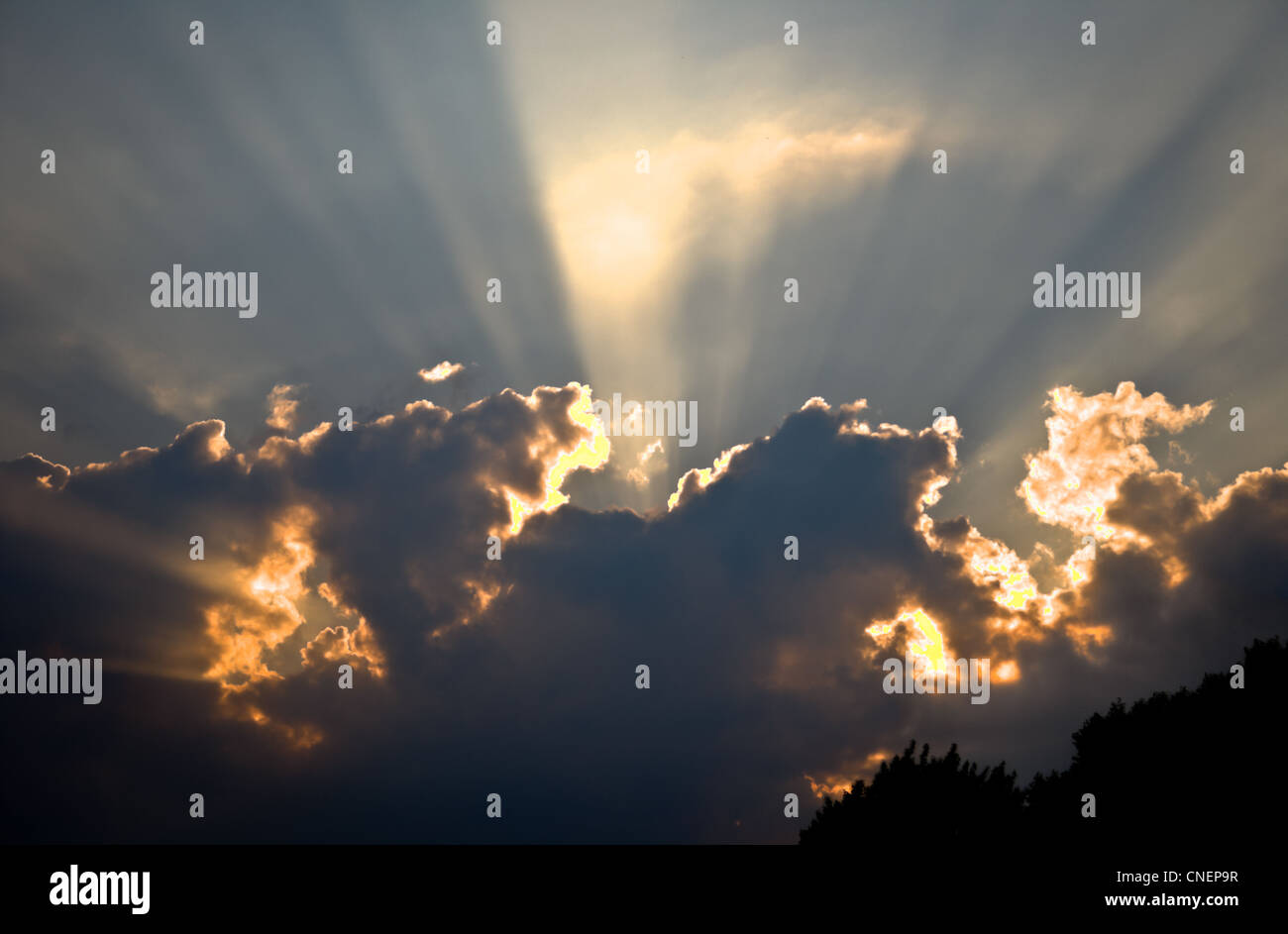 Cobhamgreen hi-res stock photography and images - Alamy