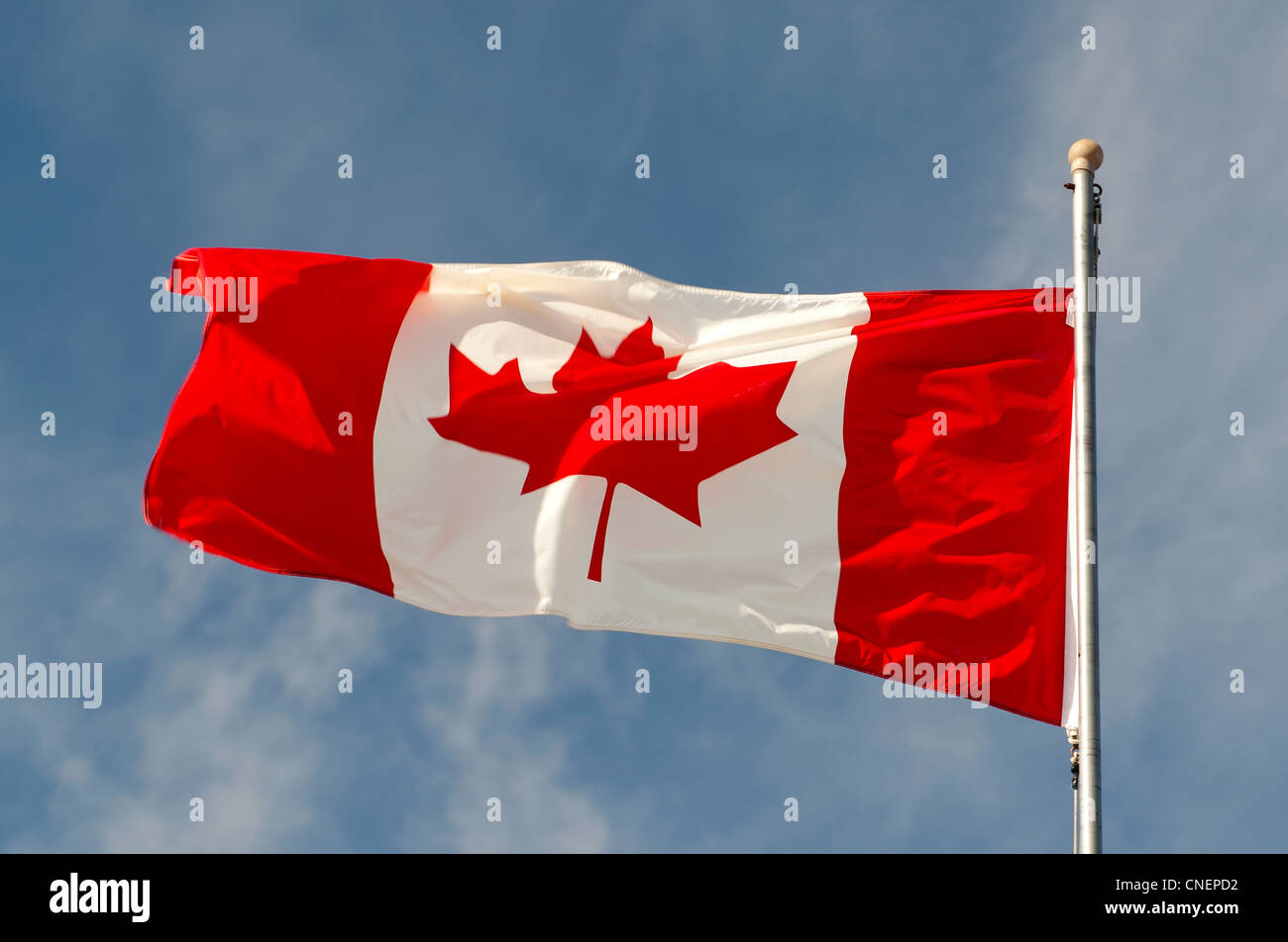 National flag of Canada  SCO 8147 Stock Photo