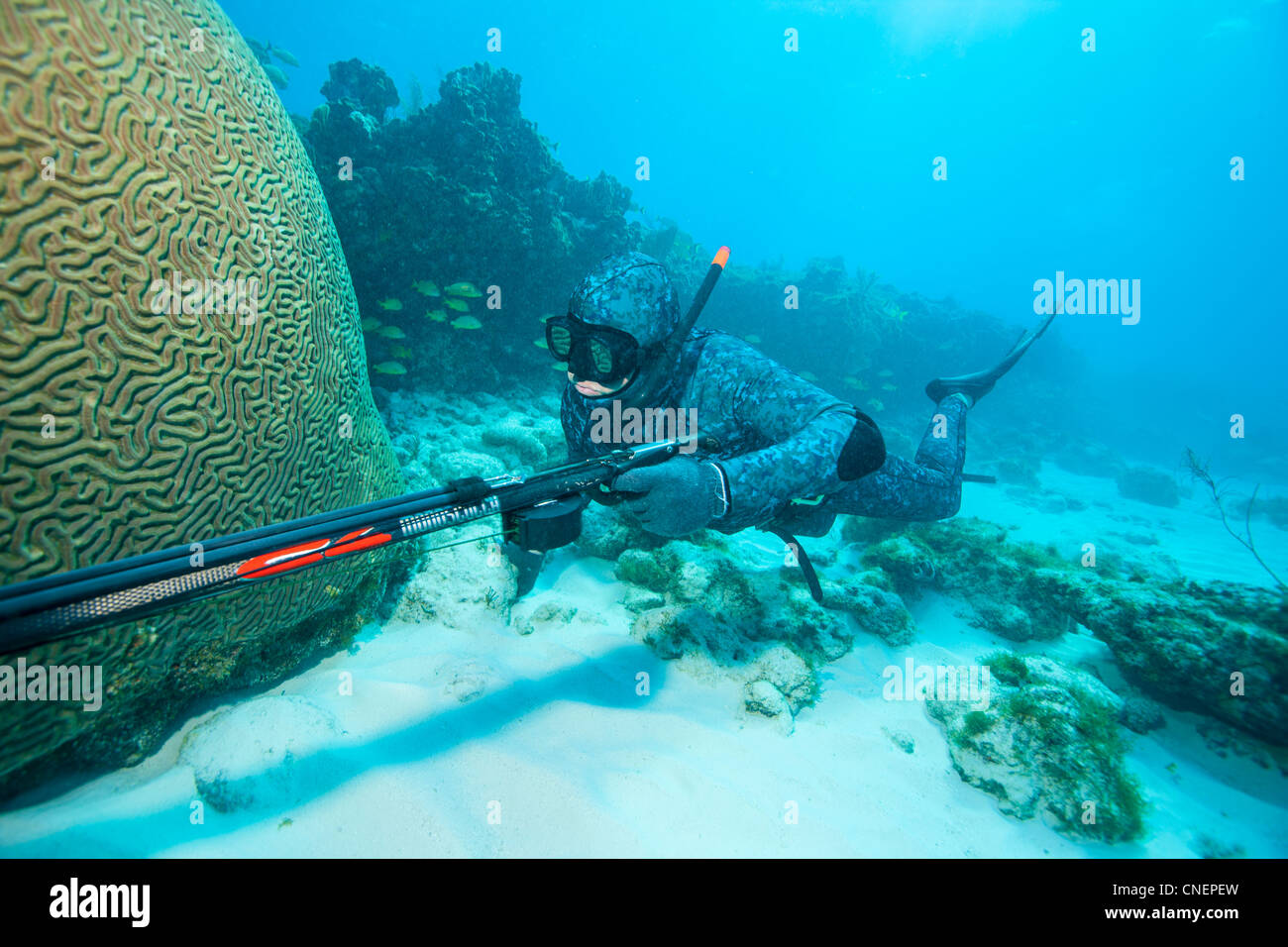 Spear fisherman with speargun on coral reef Stock Photo