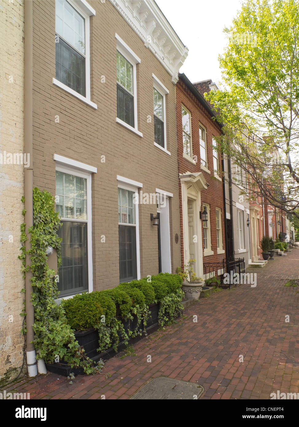 Historic Old Town Alexandria houses Stock Photo Alamy