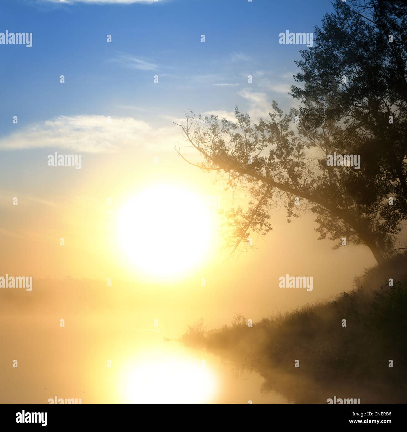 landscape with beautiful fog sunrise on river Stock Photo - Alamy