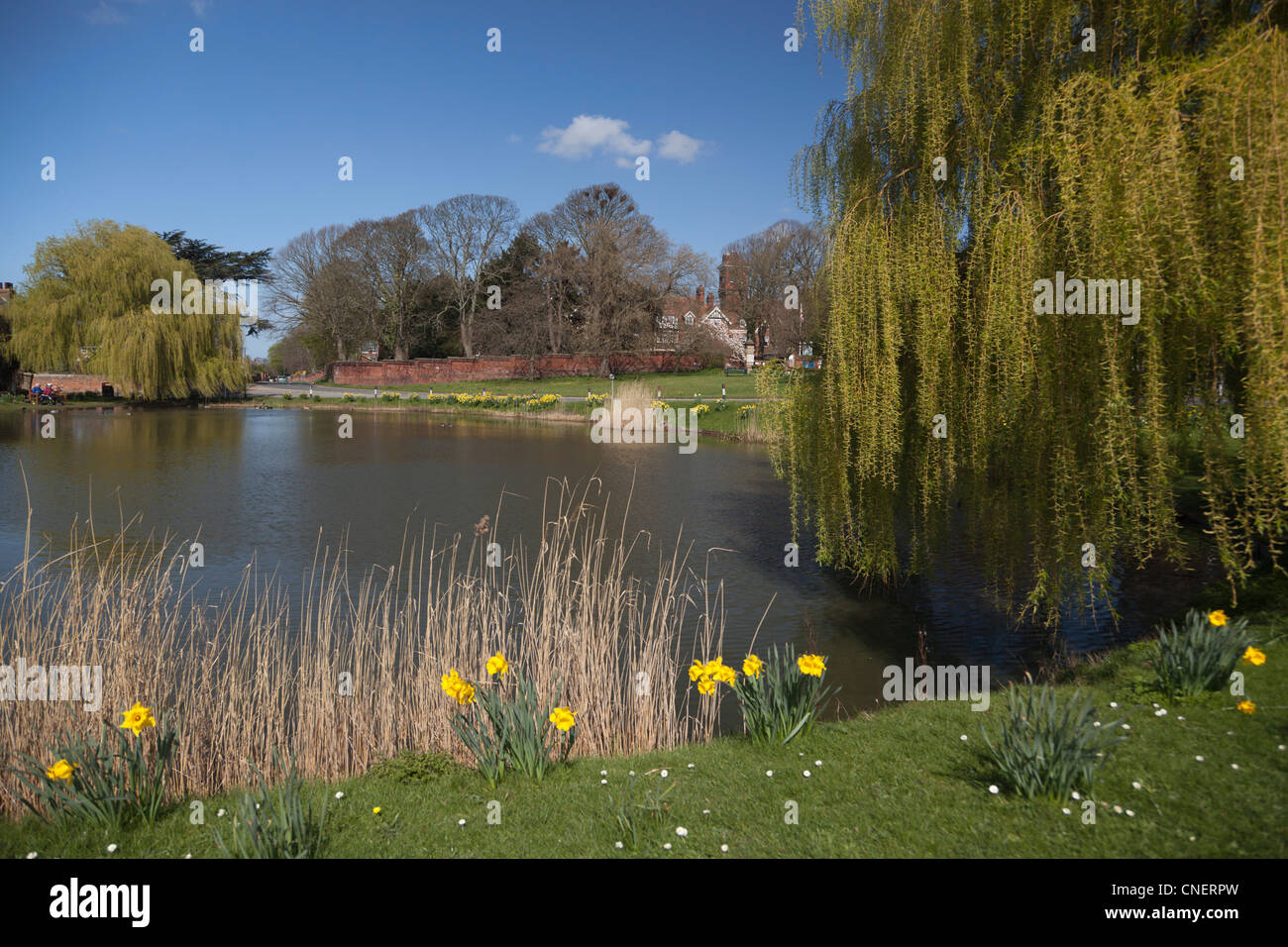Richard askham hires stock photography and images Alamy
