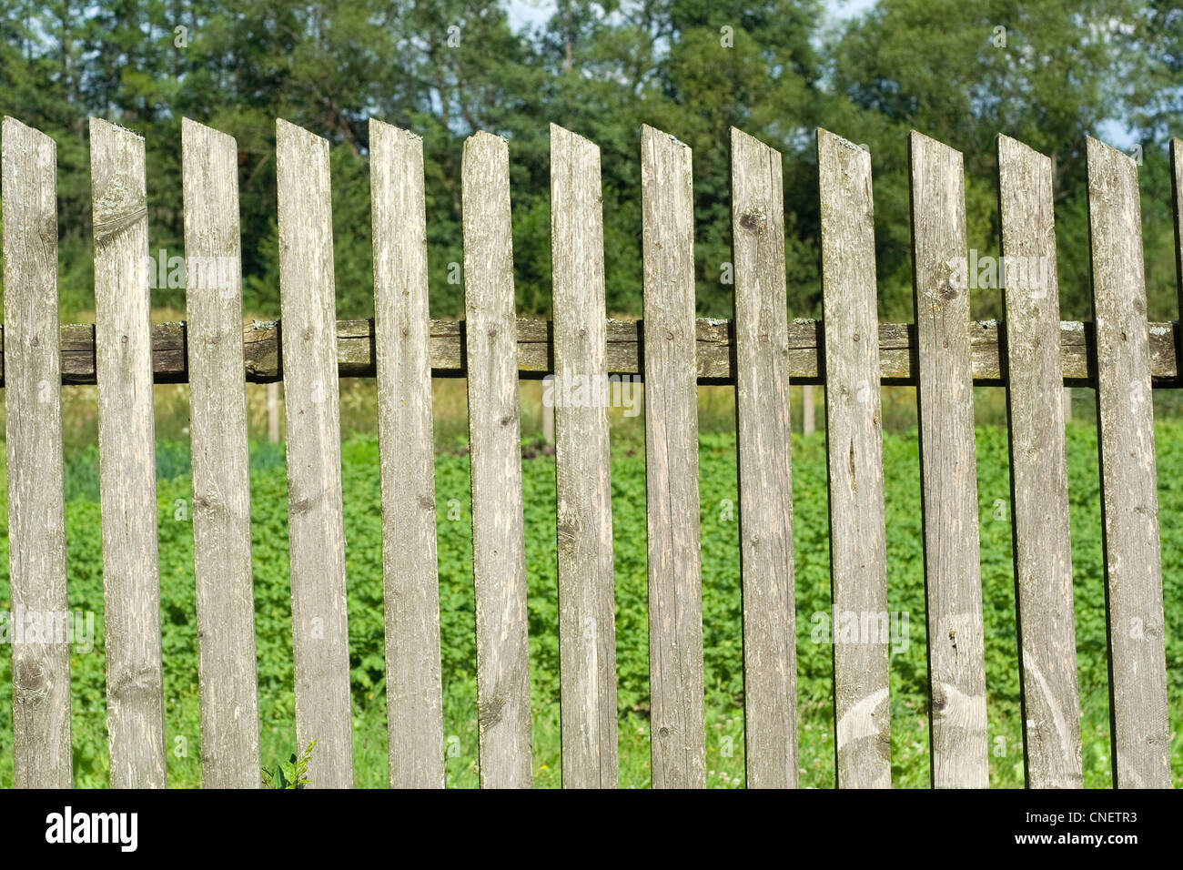 Old wooden fence Stock Photo - Alamy