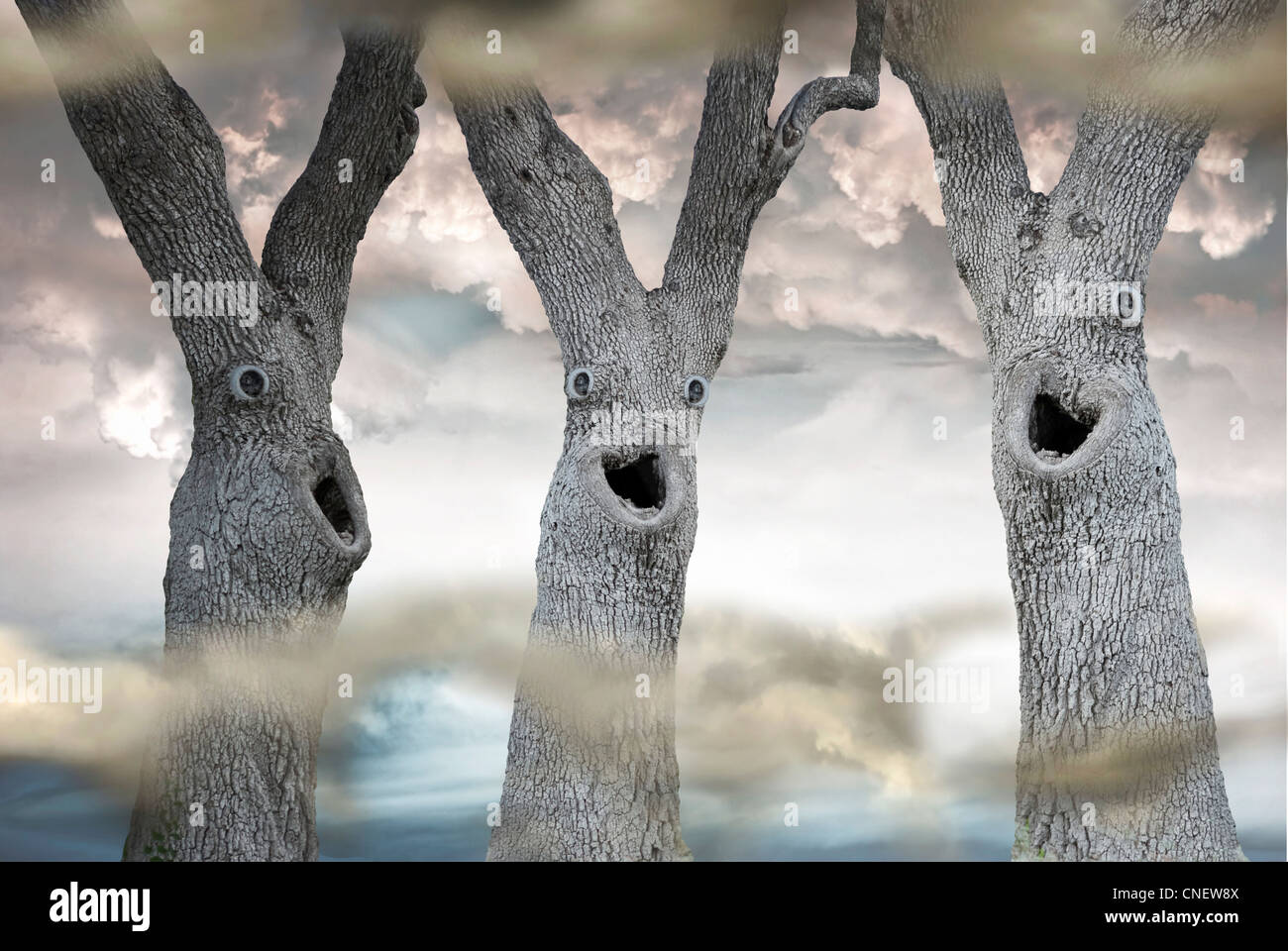 Funny Spooky Trees Stock Photo