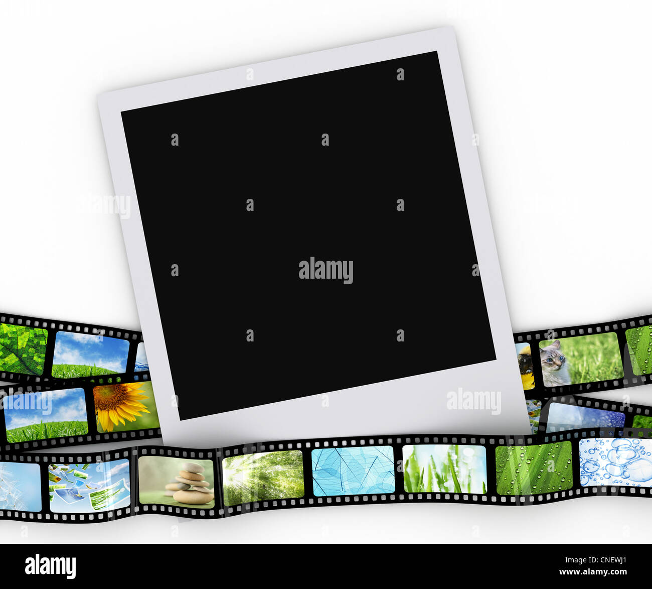 Blank photo with film Stock Photo Alamy