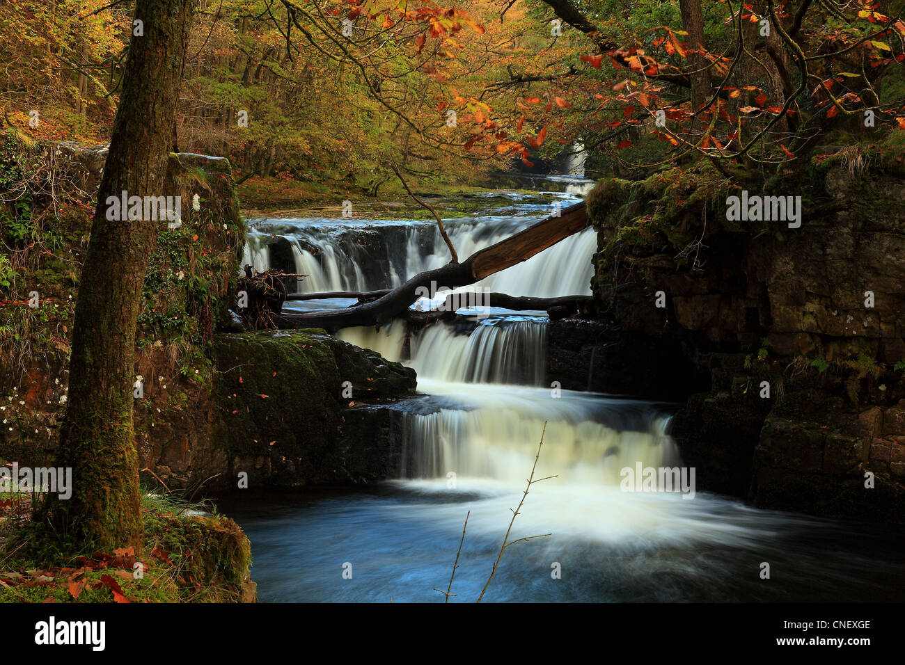 Horseshoe Waterfalls; South Wales Stock Photo Alamy