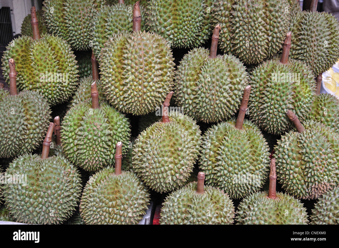 Durian fruit in stall in Yaowarat Road (Chinatown), Samphanthawong District, Bangkok, Thailand Stock Photo