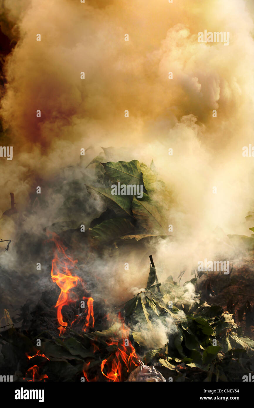 Toxic materials hires stock photography and images Alamy