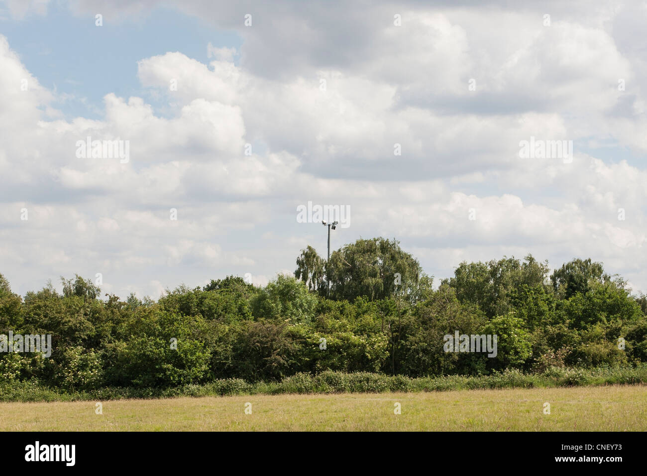 Outskirts of London Stock Photo Alamy