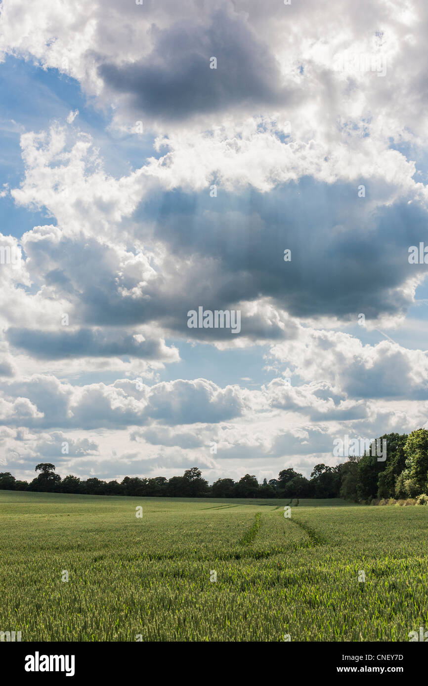 Outskirts of London Stock Photo Alamy
