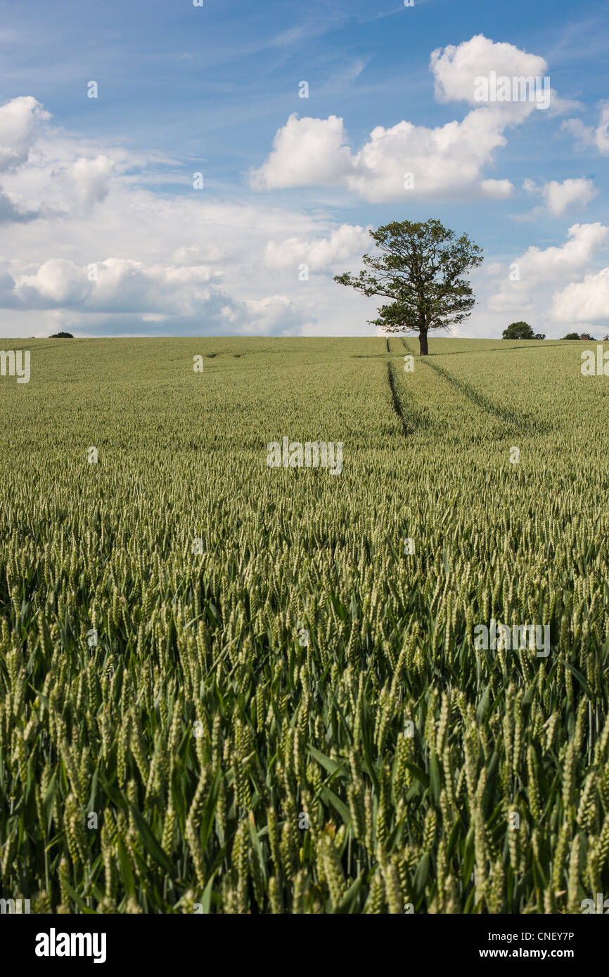 Outskirts of London Stock Photo Alamy