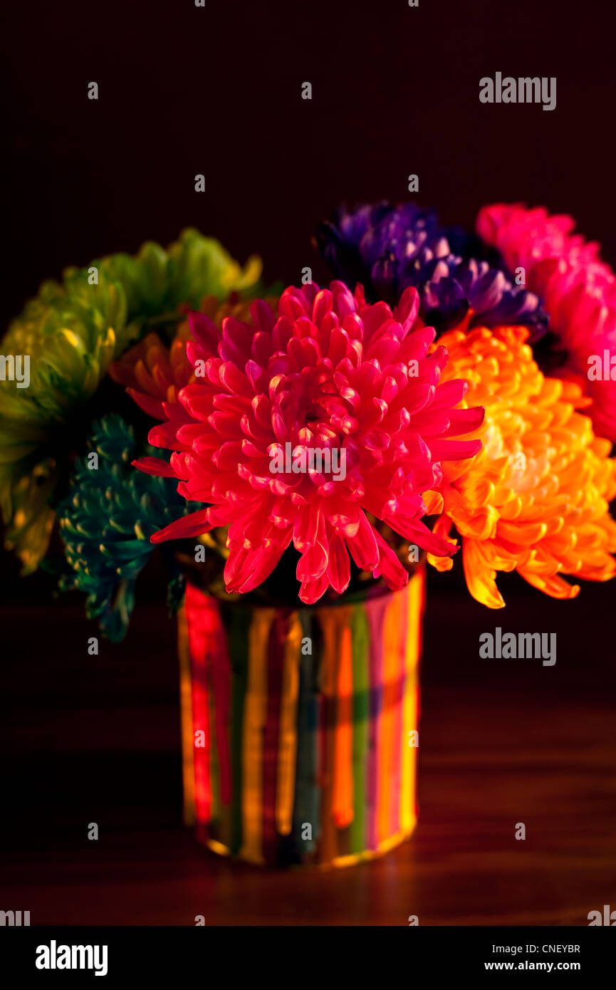 Multicolored Chrysanthemums In Paint Can On Chest Of Drawers