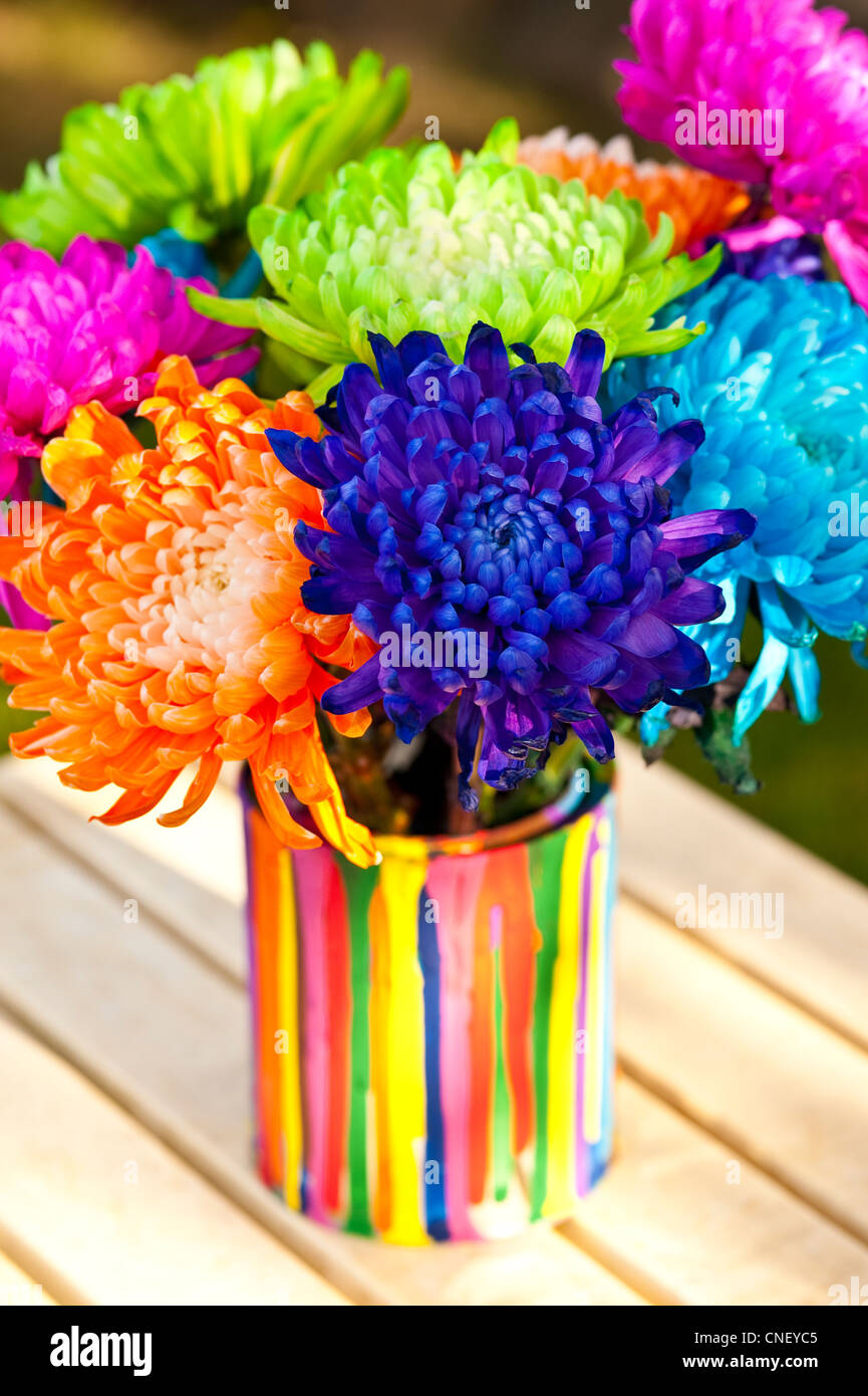 Multicolored Chrysanthemums in paint can on table outdoors Stock Photo