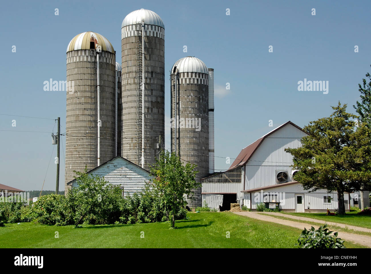 Silos in Clark County, Wisconsin, USA Stock Photo
