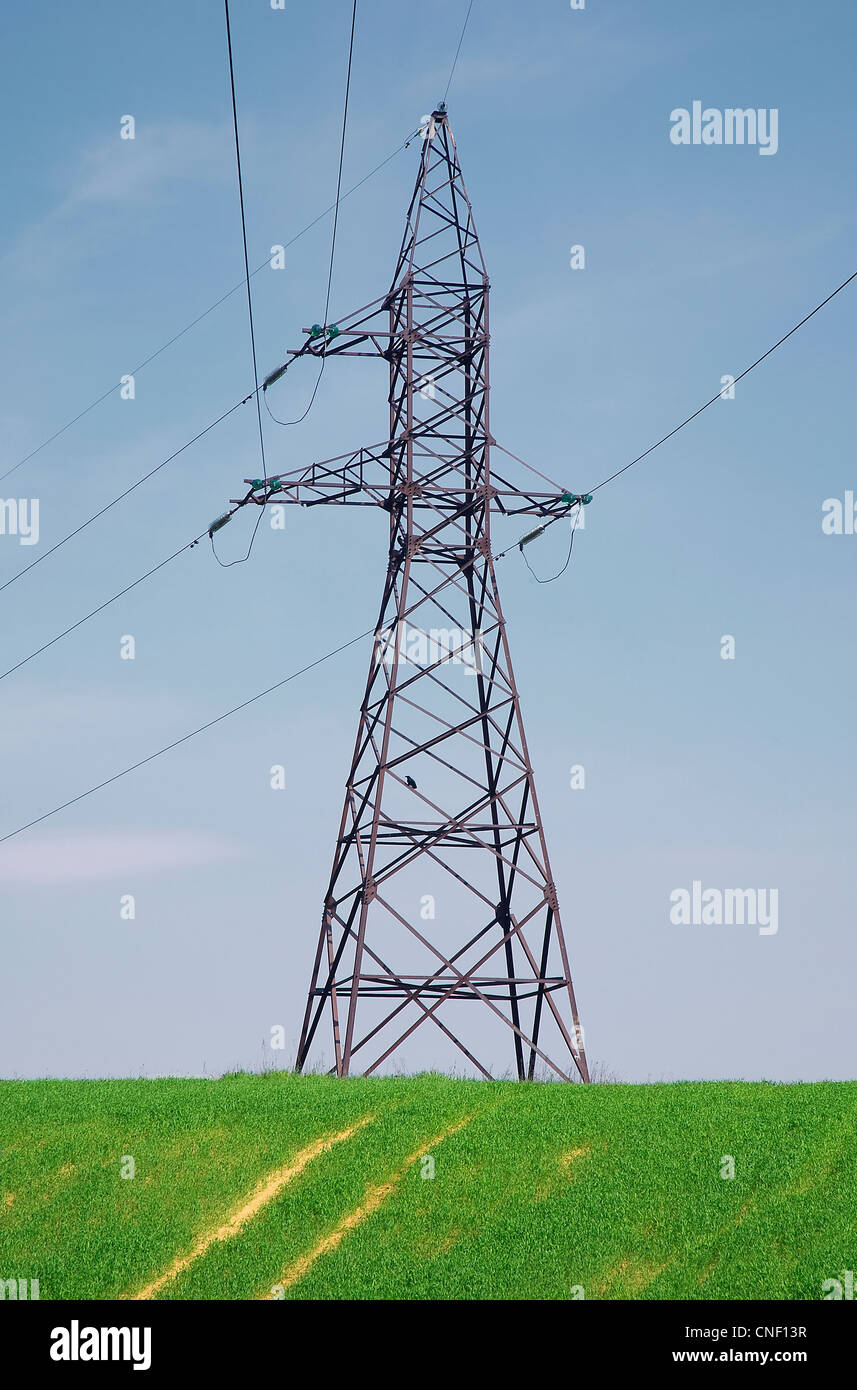 Electric power lines on the green field Stock Photo Alamy