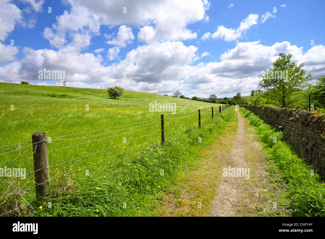 Yorkshire spring landscape, UK Stock Photo - Alamy
