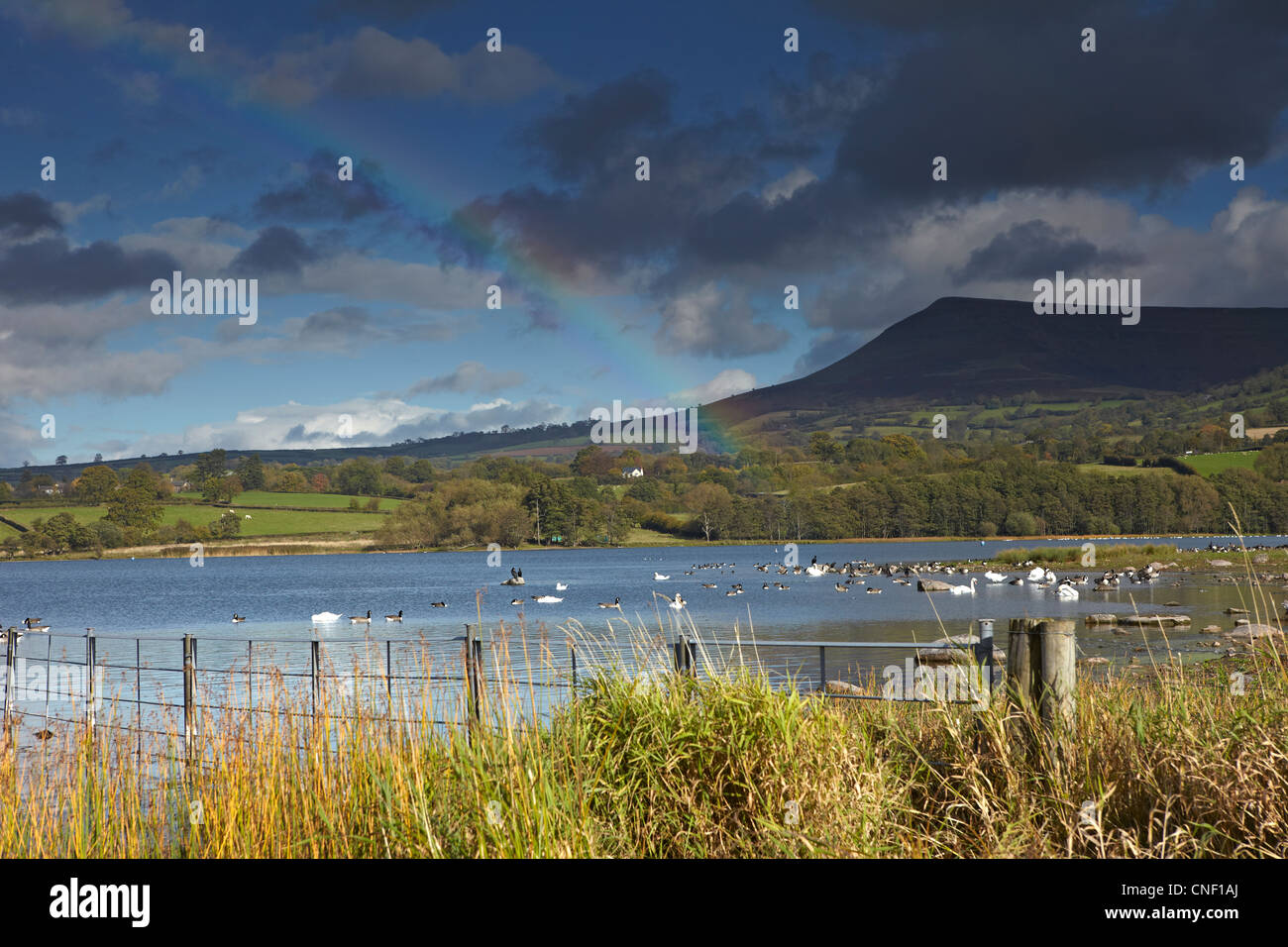 Rainbow over Llangorse Lake, Brecon Beacons National Park, Wales, UK Stock Photo Alamy