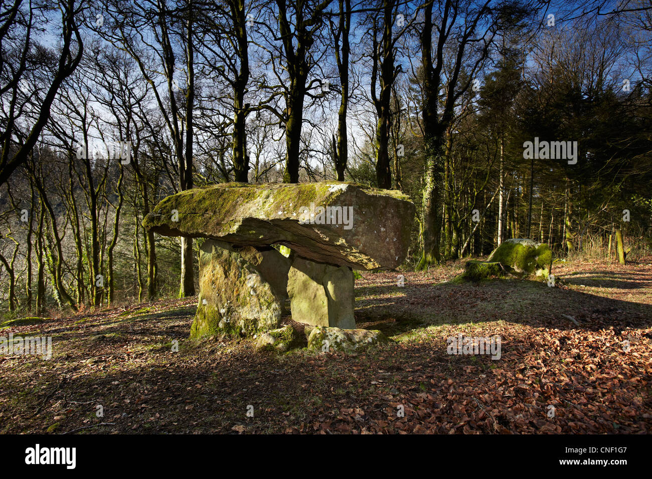 Gwal y Filiast Neolithic Tomb, Carmarthenshire, West Wales, UK Stock Photo