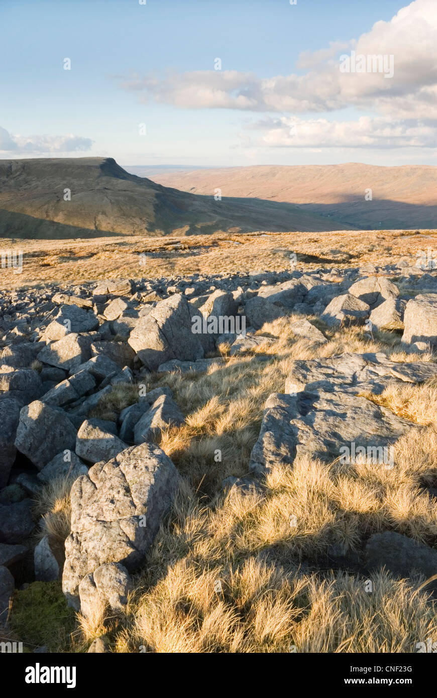 View of the Wild Boar Fell ridge in the Upper Eden Valley in Cumbria, taken from Swarth Fell. Stock Photo