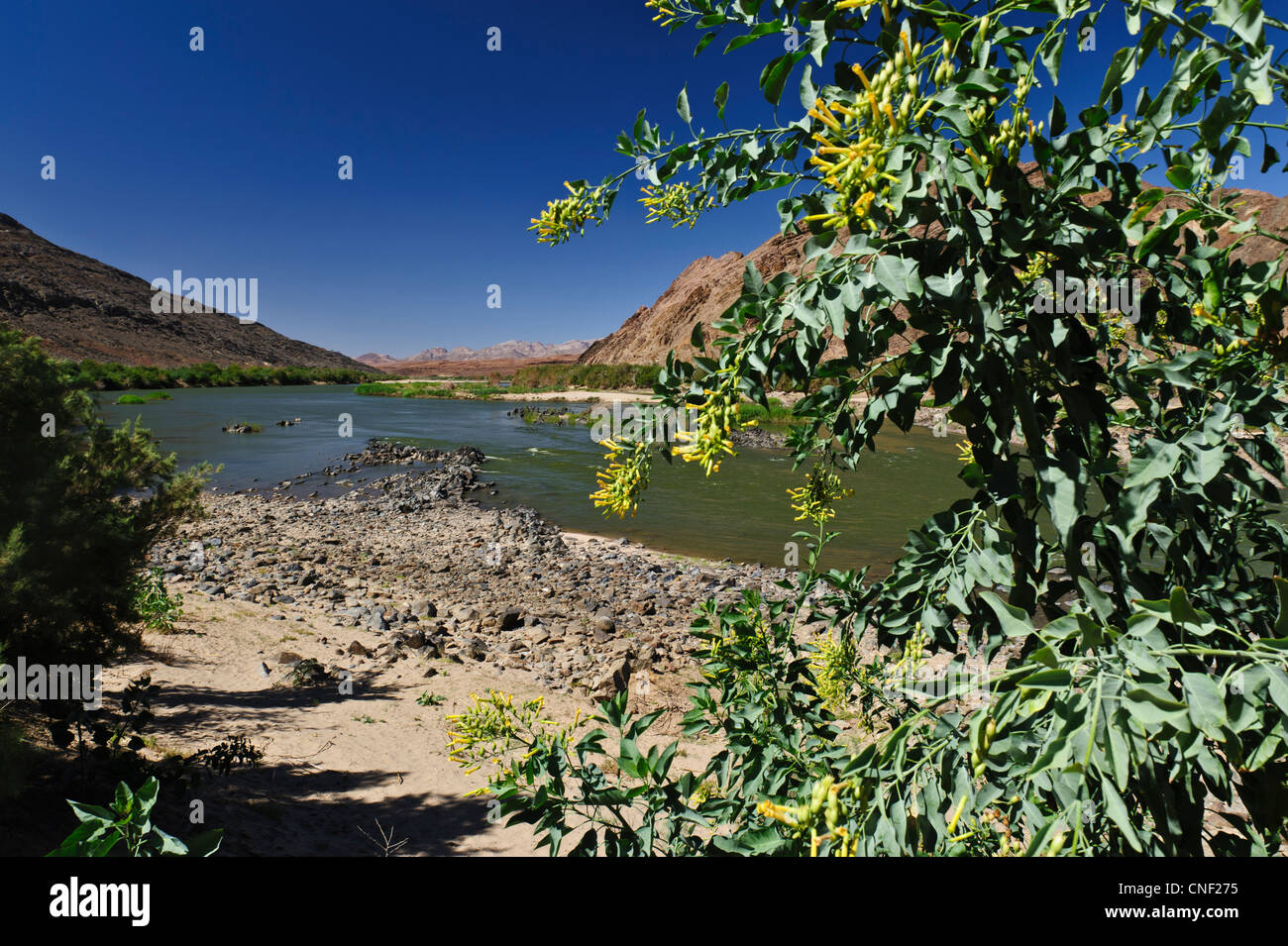The Orange River. Namibia Stock Photo Alamy