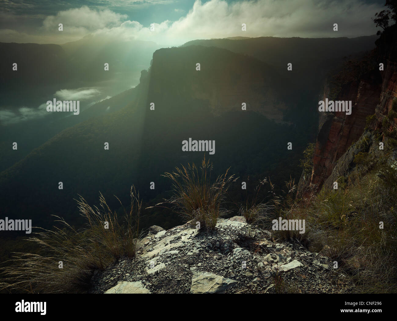 Backlit grasses and cliff face, Grose Wilderness early morning, Blue ...