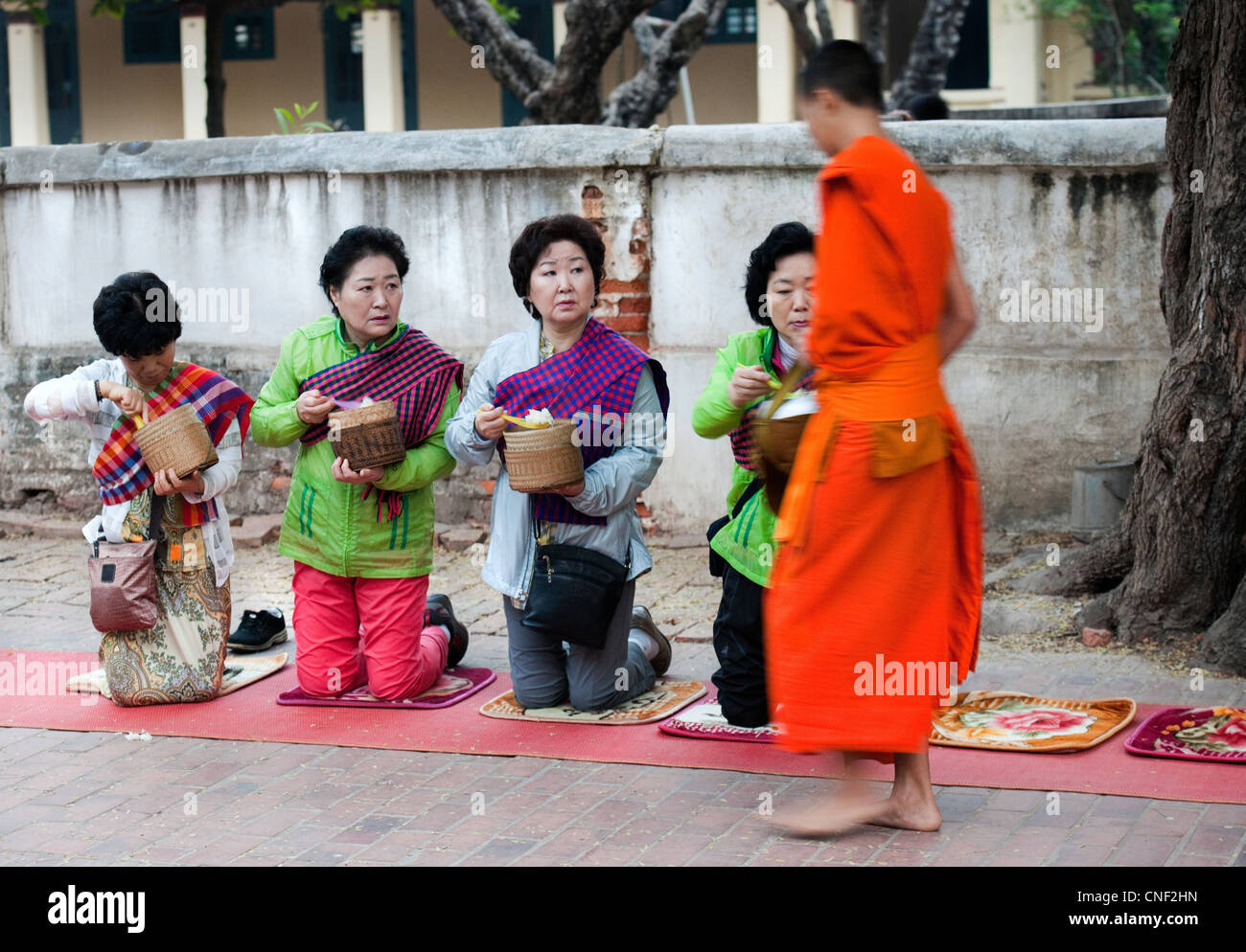 Monk accepting food offering from visiting Japanese Buddhists in Luang Prabang, Laos Stock Photo