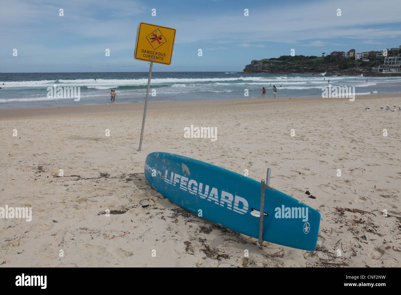 Lifeguard point with surfers and swimmers in Bondi beach, Sydney ...