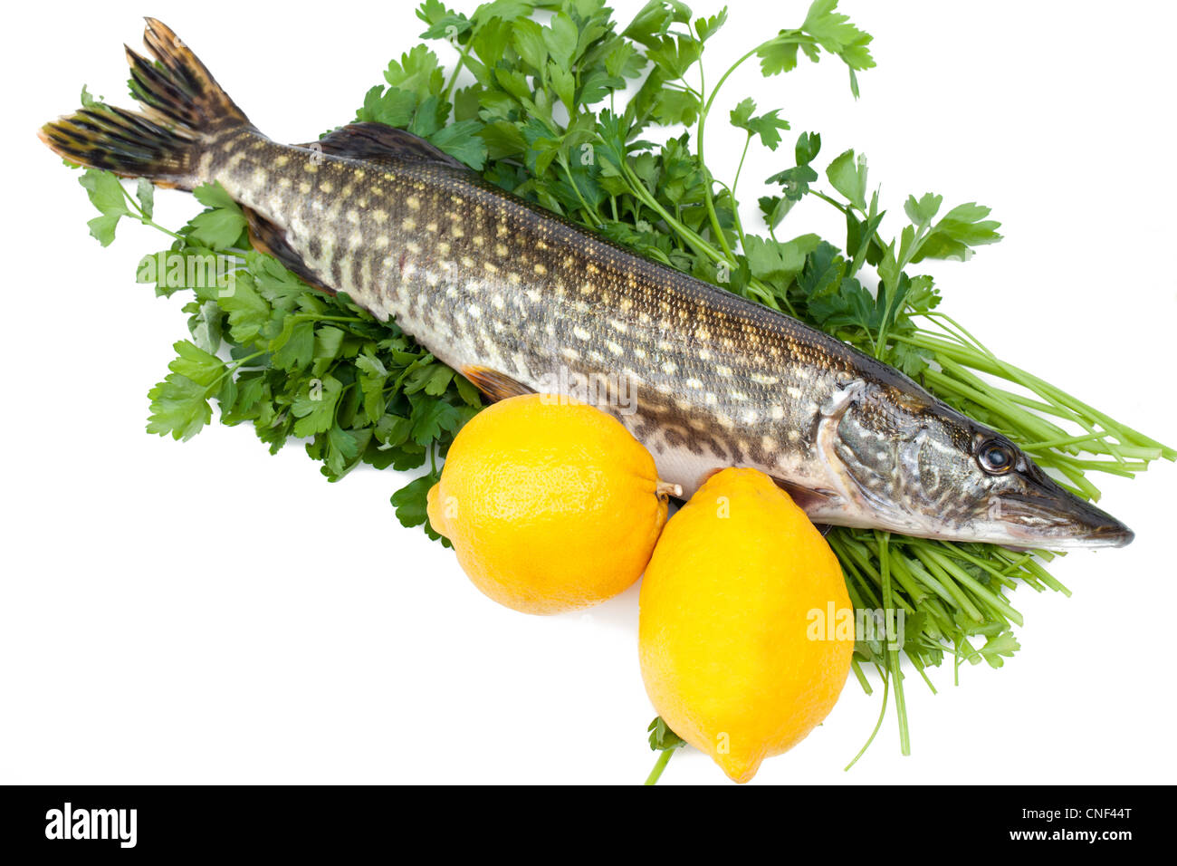 Pike With Lemons On Parsley Bed Stock Photo