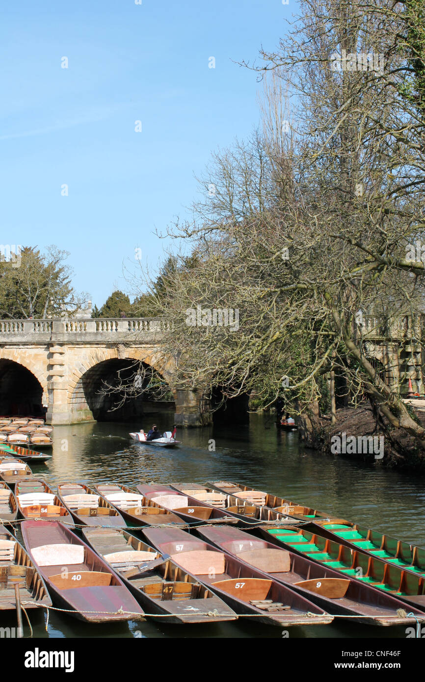 Punts lined up in the University of Oxford Botanic garden. View of Magdalen bridge. Stock Photo