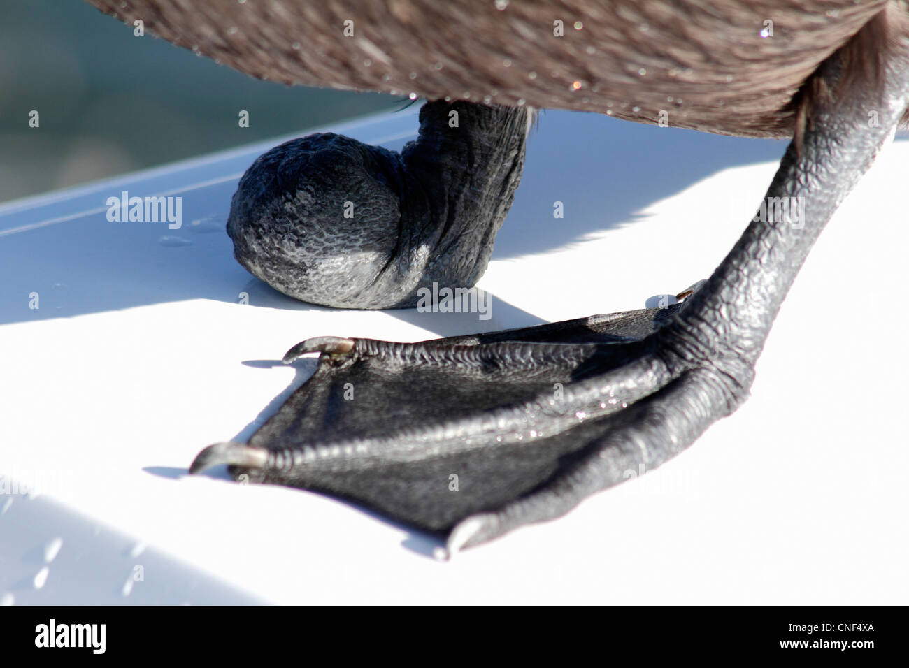 Neural networks increase video resolution Neural networks increase video resolution