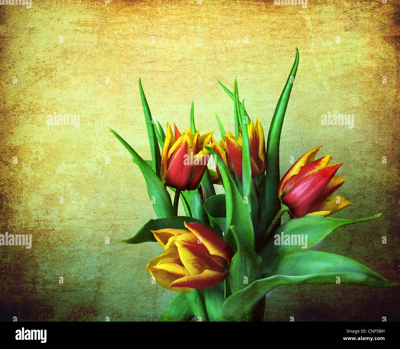 Floral still life: a bouquet of red and yellow tulips on a vintage ...